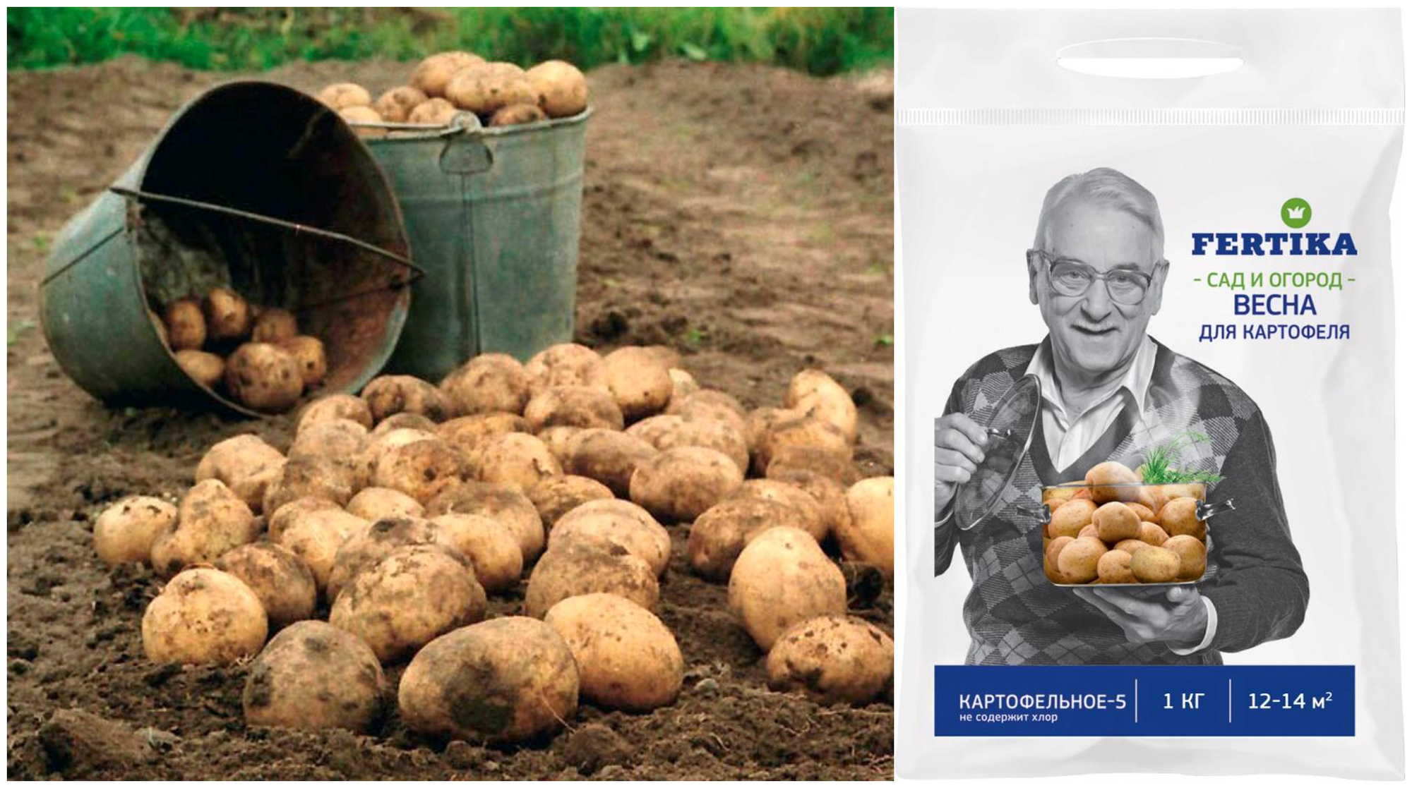 Удобрение Фертика для картошки, 1кг (NРK-10:9:16) картофельное