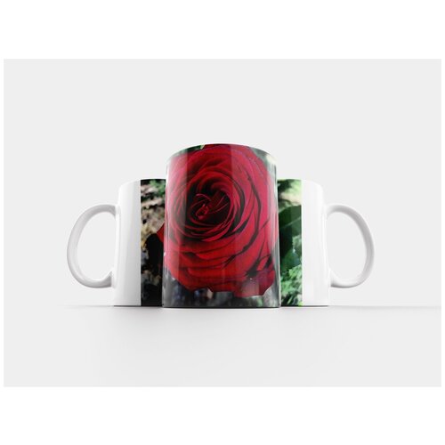 фото Кружка "роза, цветок, цвести" 320 мл lotsprints