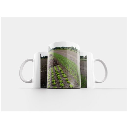 фото Кружка "сельское хозяйство, садоводство, овощи" 320 мл lotsprints