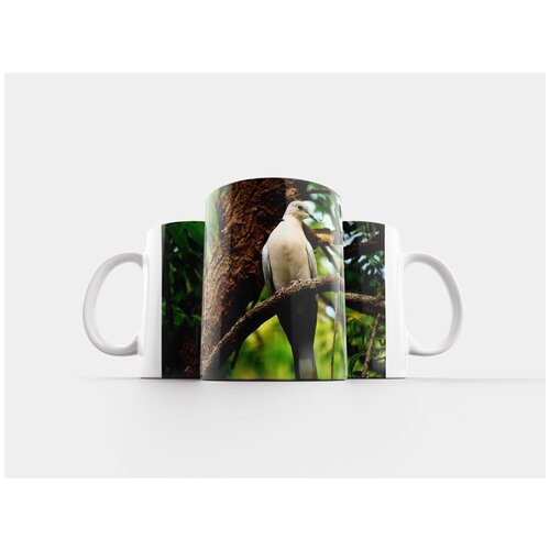 фото Кружка "птица, голубь, природа" 320 мл lotsprints