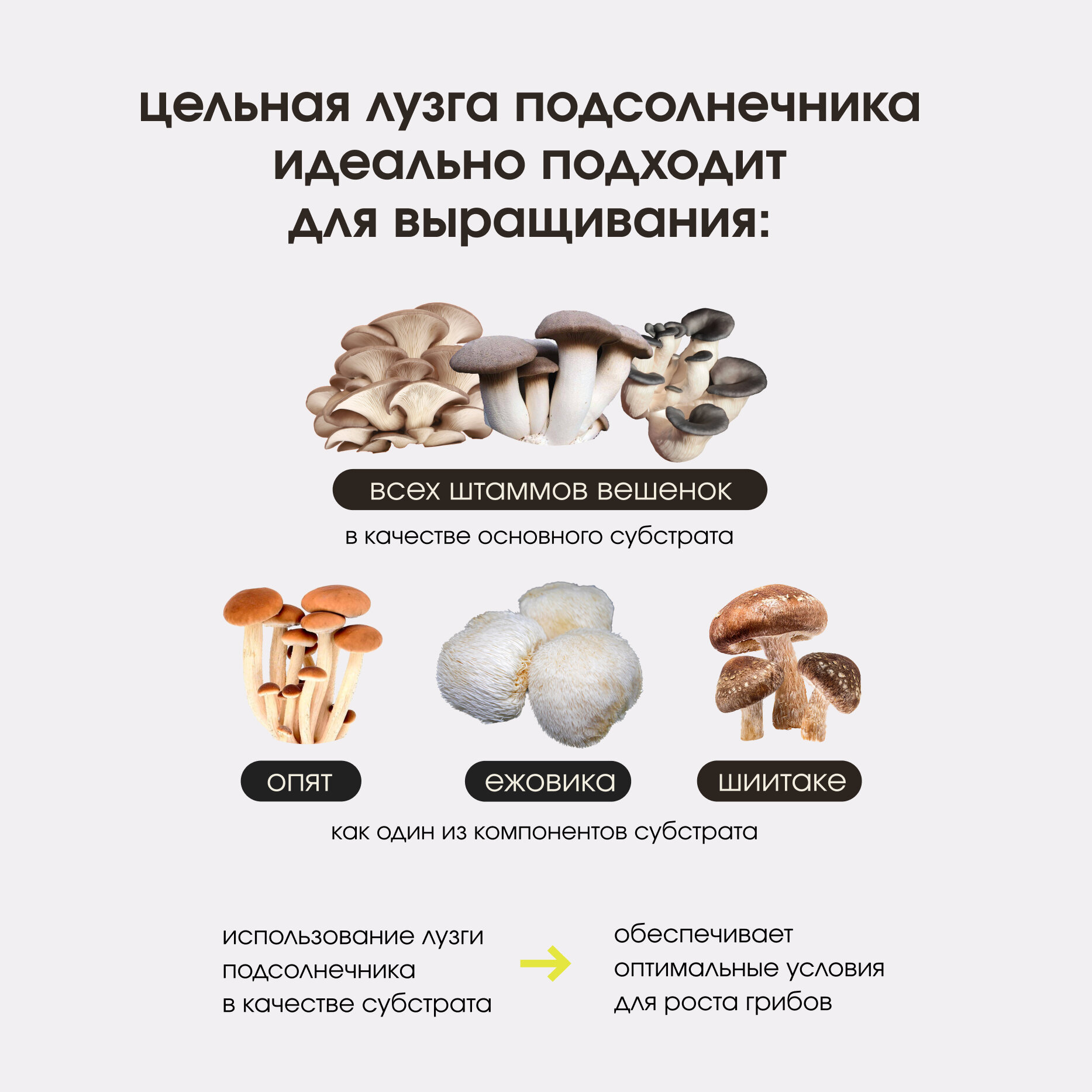 Субстраты, Грунты, Мульча Субстрат для выращивания грибов, лузга подсолнечника