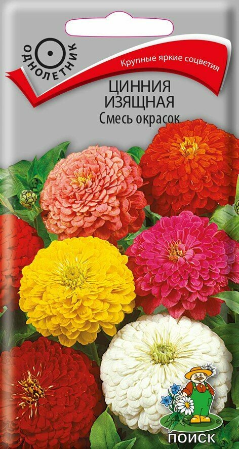 Семена цветов Поиск 