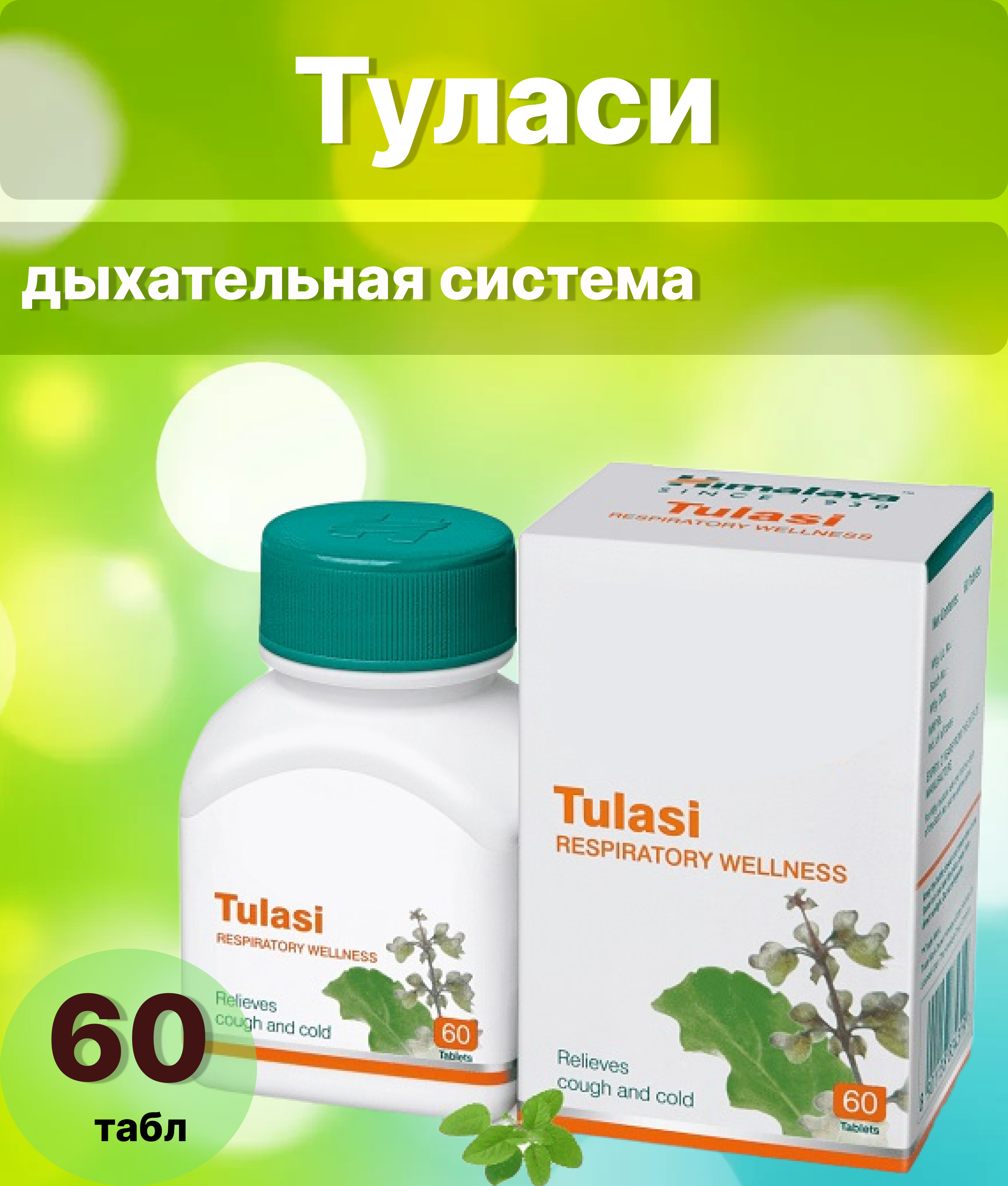 Туласи  поддержка дыхательной системы