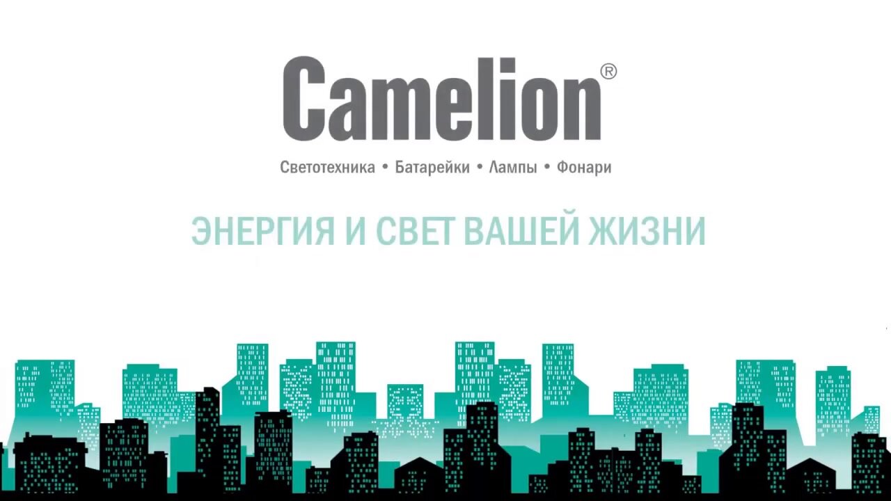 Светильник уличный фасадный Camelion LGU10-01 C02 Металлически, черный, IP54 — фото 1