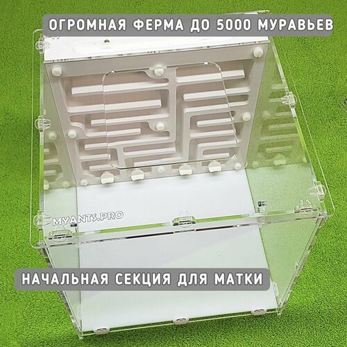 Огромная муравьиная ферма Башня v1 от MyAnts для муравьев (вертикальный гипсовый формикарий)