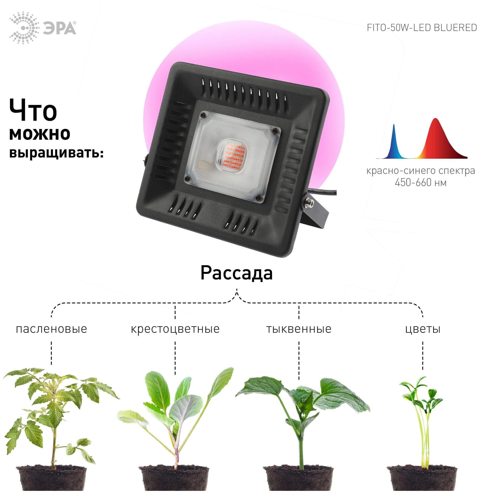 Фитопрожектор для растений светодиодный ЭРА FITO-50W-LED-BLUERED для цветения и плодоношения 50Вт красно-синего спектра - фотография № 7