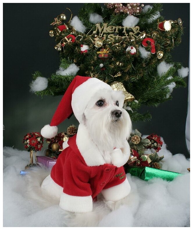 PUPPIA Куртка для собак с капюшоном новогодняя "Santa", красная, M, 26см (Южная Корея) - фото №1