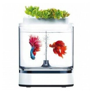 Акваферма Xiaomi Geometry Mini Lazy Fish Tank Pro C300 - фотография № 17