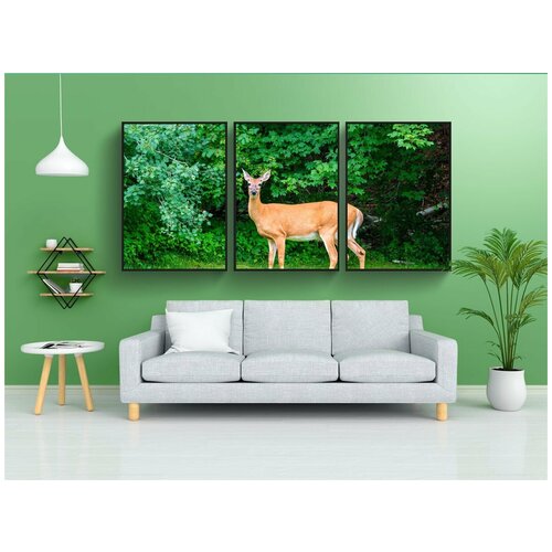 фото Набор модулных постеров для интерьера "олень, белохвост, дикая природа" 60x90 см. в тубусе, без рамки lotsprints