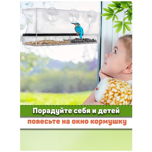 Кормушка для птиц на окно, на присосках, прозрачная, для самостоятельной сборки