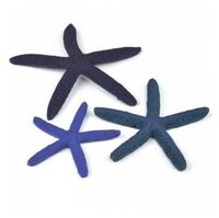 Набор синих морских звезд, Starfish set 3 blue