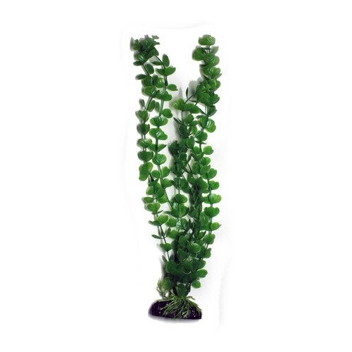 Растение Лисимахия зелёная пластик 46см