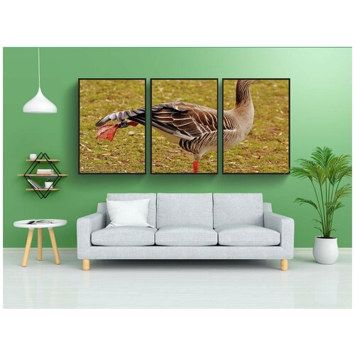 фото Набор модулных постеров для интерьера "гусь, птица, утреннее упражнение" 60x90 см. в тубусе, без рамки lotsprints