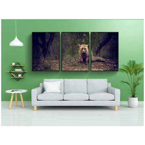 фото Набор модулных постеров для интерьера "лиса, животное, млекопитающее" 60x90 см. в тубусе, без рамки lotsprints