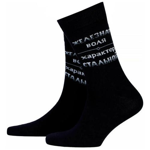 Носки Красная Ветка Железная воля, размер 29, черный мужские легкие носки с надписью