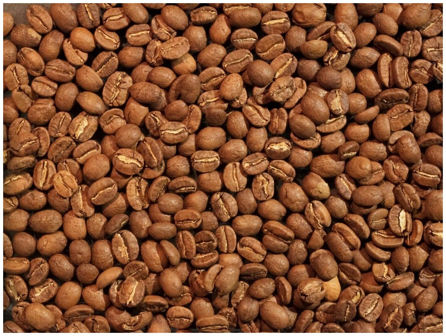 BUENOS DIAS / Кофе Лесной орех (100% Арабика) в зёрнах ароматизированный, уп. 1 кг - фотография № 2