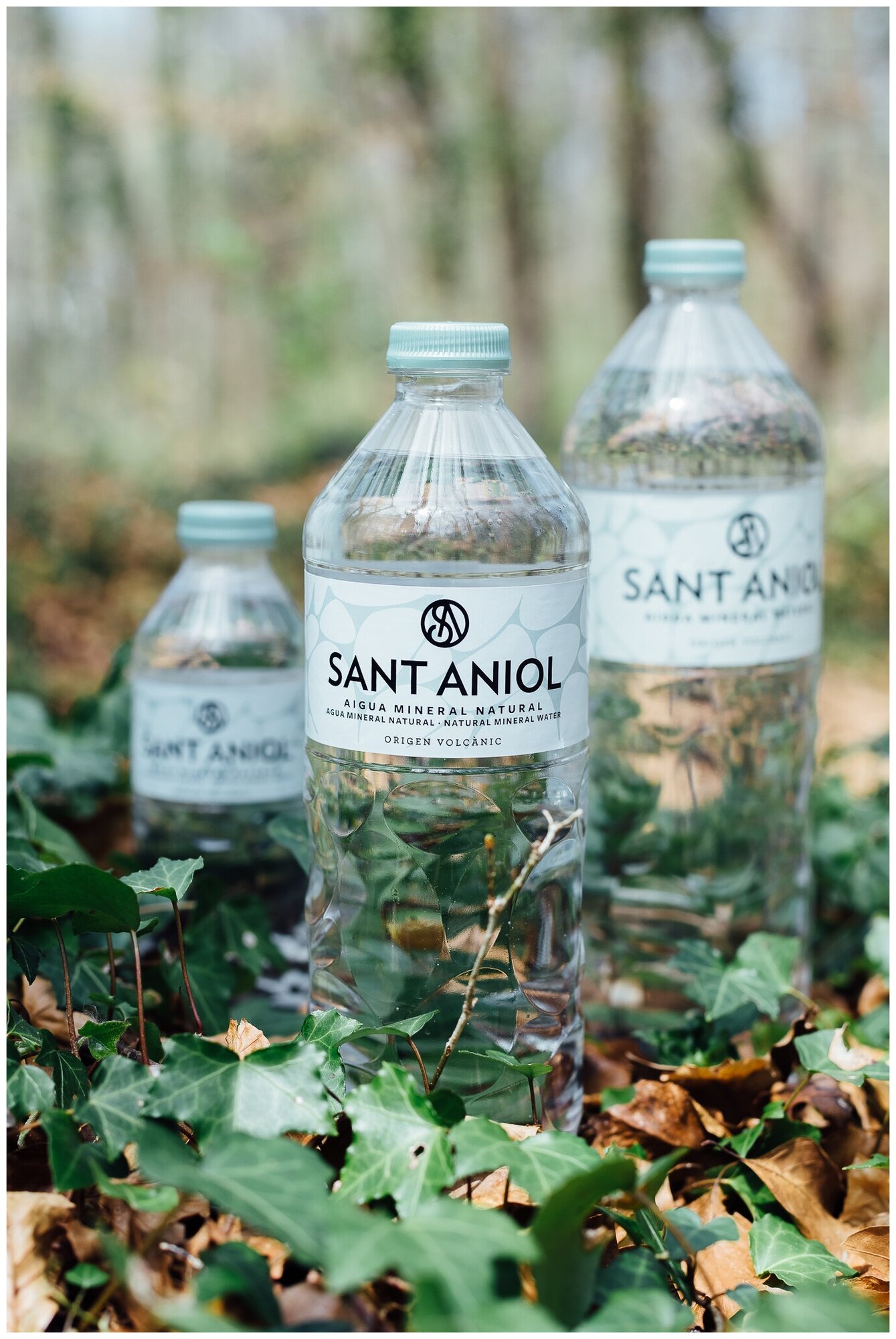 Вода минеральная Sant Aniol (Сант Аниол) 6 шт по 1,5 л, негазированная, пэт