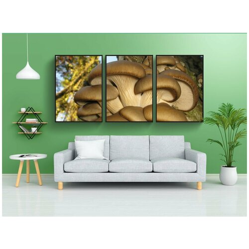 фото Набор модулных постеров для интерьера "pleurotus ostreatus, япония, дерево" 60x90 см. в тубусе, без рамки lotsprints
