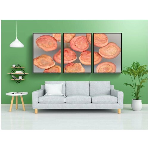 фото Набор модулных постеров для интерьера "семена, сканер, цветок" 60x90 см. в тубусе, без рамки lotsprints