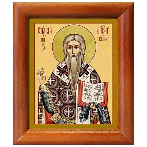 Священномученик Власий Севастийский, икона в рамке 8*9,5 см священномученик власий севастийский икона в широкой рамке 14 5 16 5 см