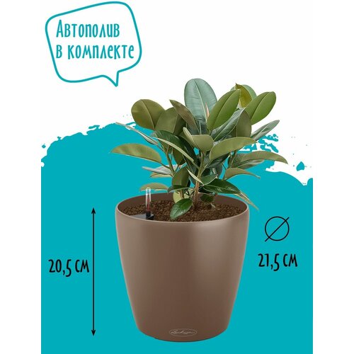 Кашпо Lechuza CLASSICO Color 21 с автополивом и субстратом