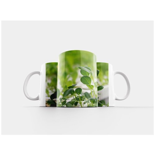 фото Кружка "овощные, чистые овощи, аэропоники овощей" 320 мл lotsprints