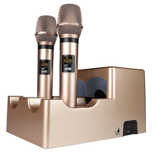 Перезаряжаемая беспроводные радиосистема mPhone CD-02 II - 2 аккумуляторных микрофона, стерилизатор УФ, Line In/Out