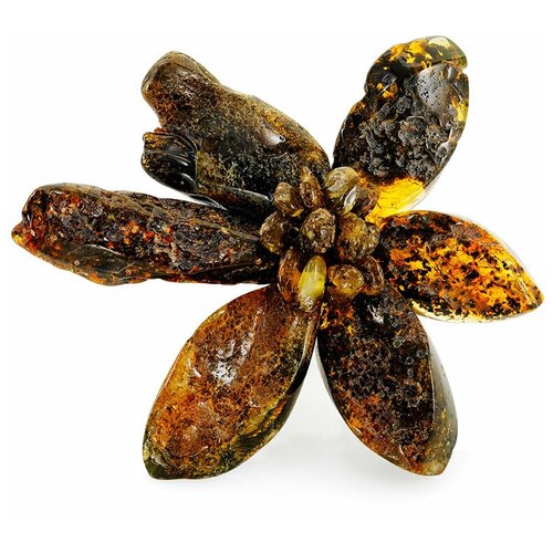 Amberholl Красивая эффектная брошь «Помпеи» из янтаря с природной корочкой