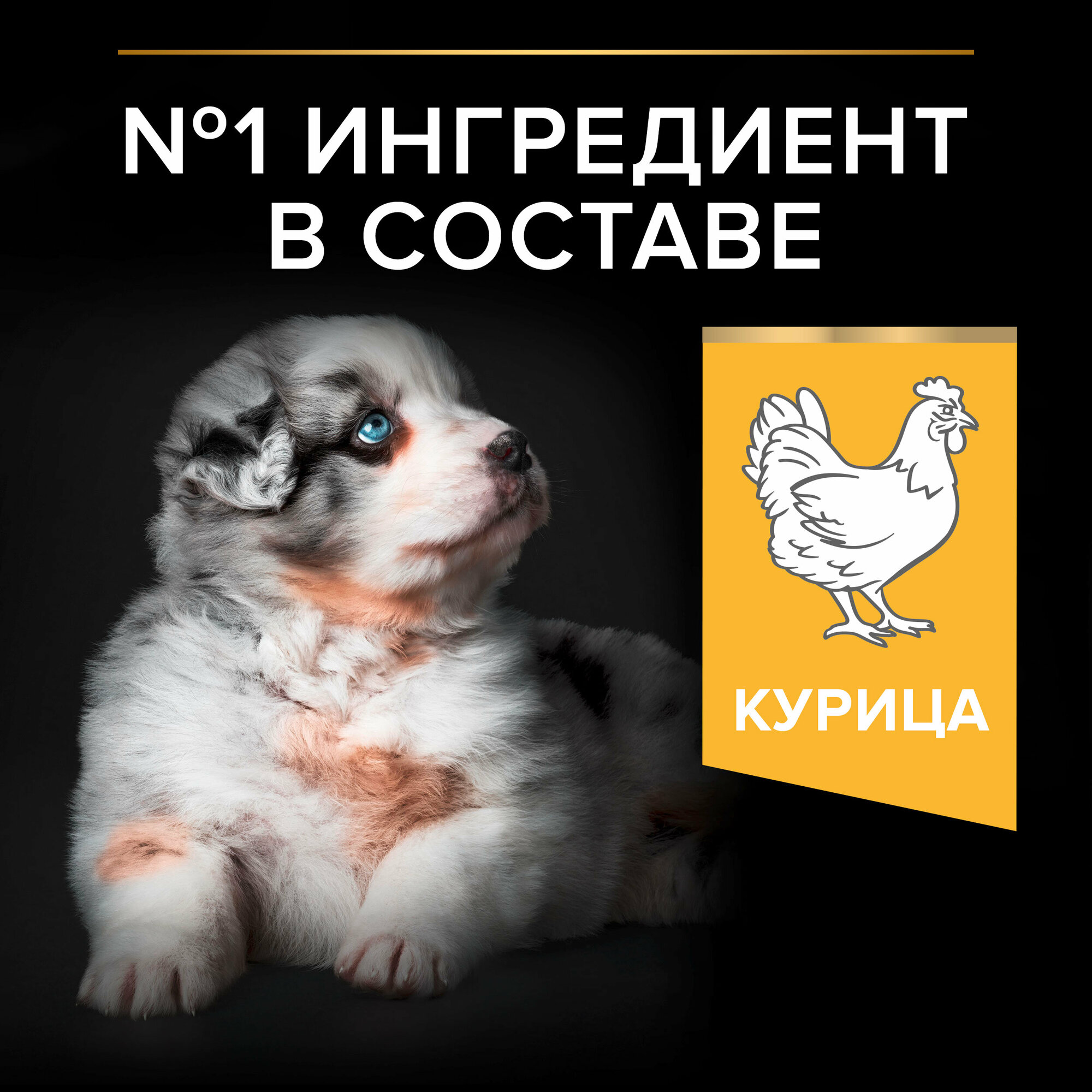 Сухой корм Pro Plan для щенков средних и мелких пород, курица, 12кг Purina ProPlan - фото №5