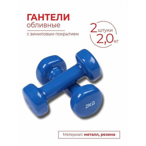 Гантели обливные с виниловым покрытием INDIGO 20кгх2шт Синий 1789₽