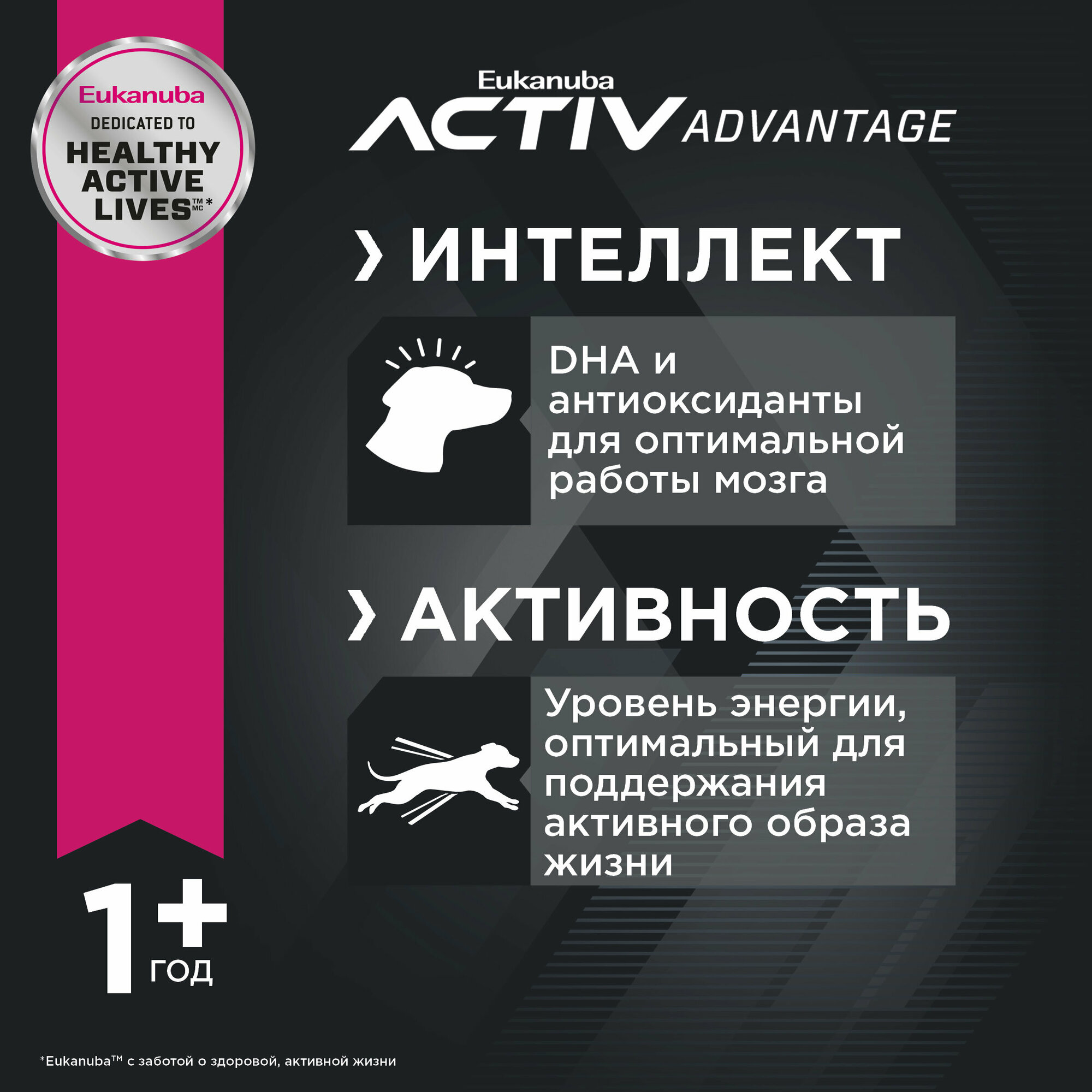 Сухой корм Eukanuba для взрослых собак миниатюрных пород, 3.5кг - фото №11