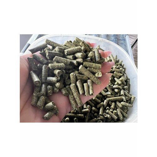 Гранулированный клевер для грызунов 100 г 380₽