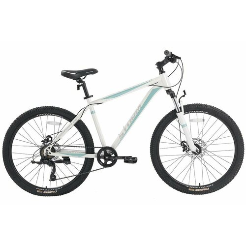 Велосипед горный TT Storm 26х18 белый 24870₽