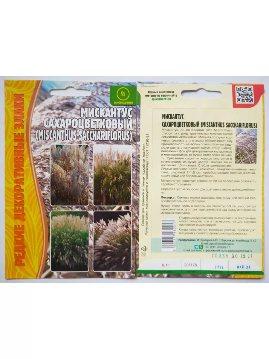 Мискантус сахароцветковый 01гр