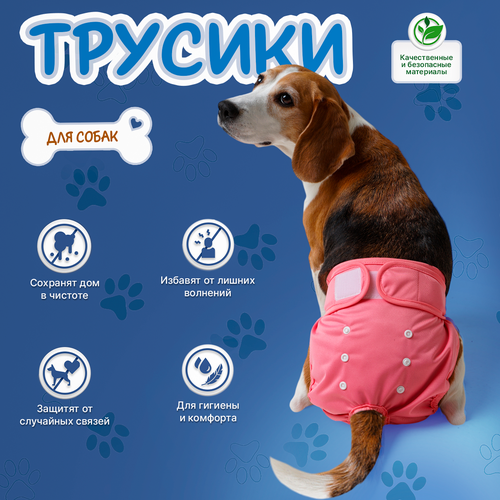 Трусы для собаки во время течки многоразовые M, подгузники для собак миниатюрных пород впитывающие