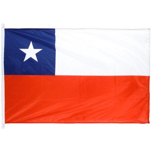 Флаг Чили с карабинами 90х135 см флаг россии с карабинами 90х135 см