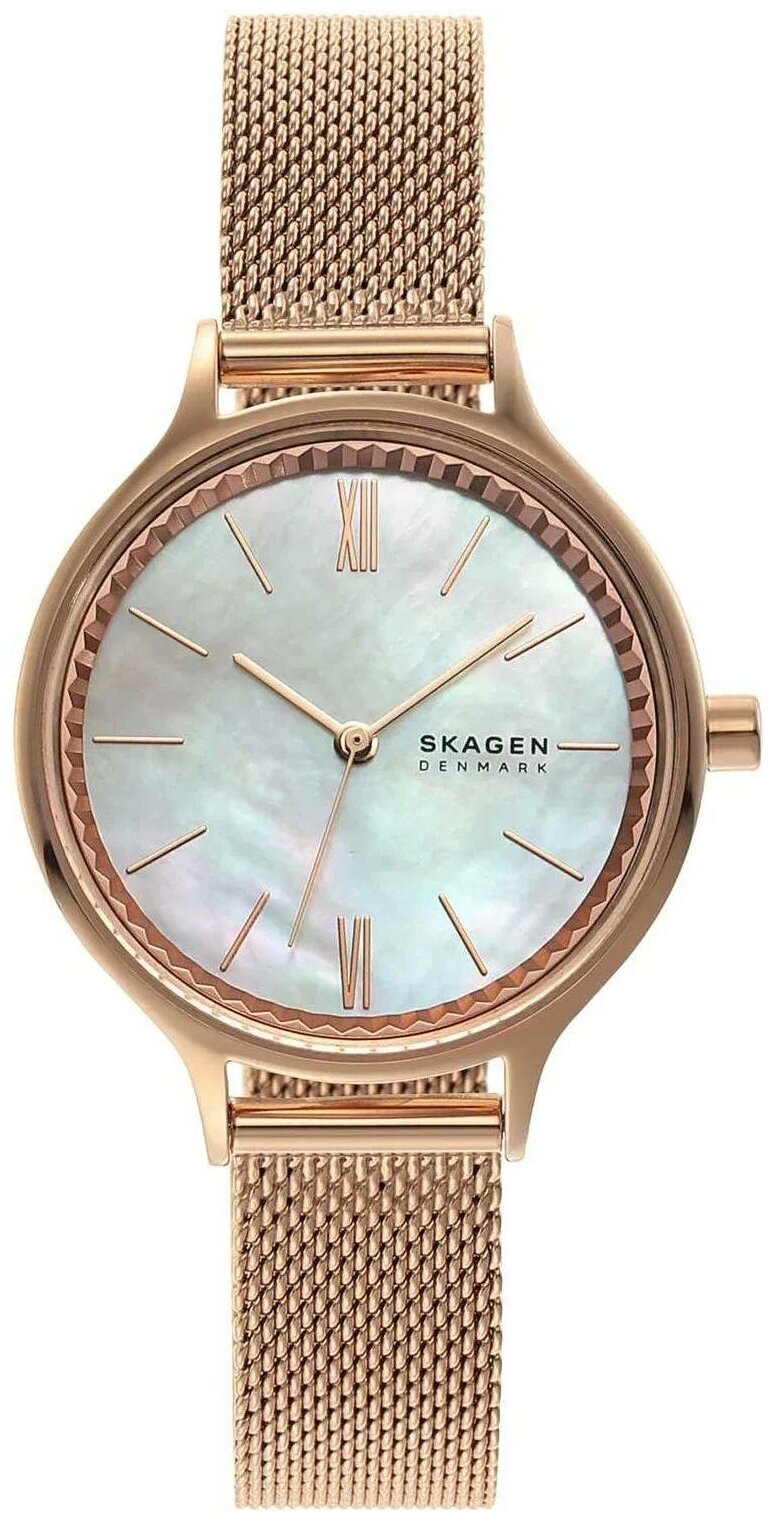 Наручные часы Skagen SKW2865