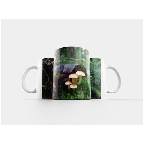 фото Кружка "грибы, лес, природа" 320 мл lotsprints