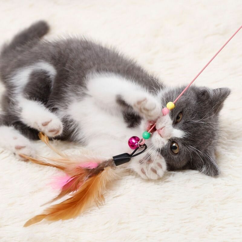 Игрушка для кошек котов дразнилка/ игрушка удочка с перьями - фотография № 5