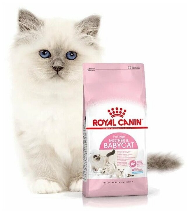 Сухой корм для беременных и кормящих кошек, для котят Royal Canin Mother&Babycat 4 шт. х 400 г - фотография № 7