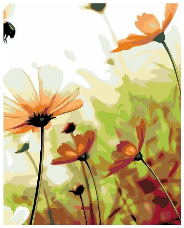 Картина по номерам "Полевые цветы 3", 40x50 см