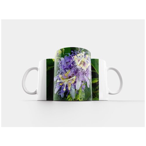 фото Кружка "цветок, природа, сад" 320 мл lotsprints