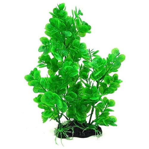 Растения для аквариумов и террариумов 35 см растения для аквариума и террариумов 25 см