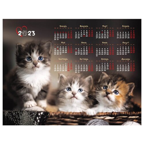Купить Календарь настенный листовой А2, OfficeSpace Cute kittens , 2023 г., 20 шт., коричневый, бумага