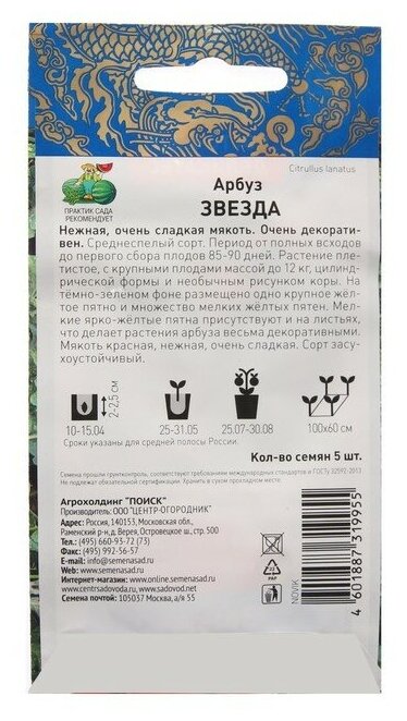 Семена арбуз звезда 5 шт Без бренда - фото №4