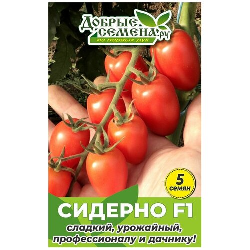 Семена томата Сидерно F1 - 5 шт - Добрые Семена. ру
