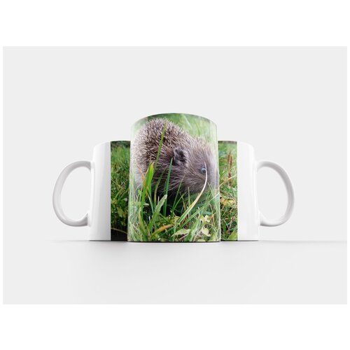 фото Кружка "из, ежик, колючий" 320 мл lotsprints