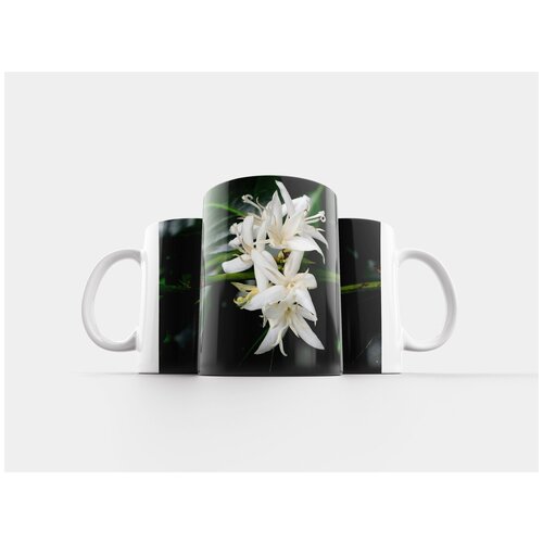 фото Кружка "цветок, кофейный цветок, кофе" 320 мл lotsprints