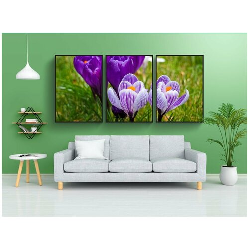 фото Набор модулных постеров для интерьера "крокус, цветок, весна" 60x90 см. в тубусе, без рамки lotsprints