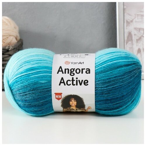 Пряжа Angora Active 20% шерсть, 80% акрил 500м/100гр (845 бело-бирюзовый)